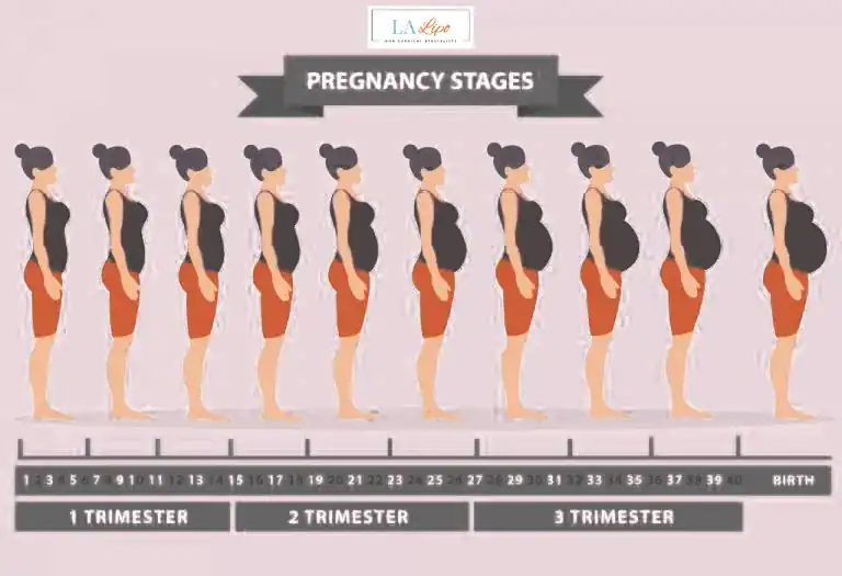 First Trimester (Weeks 1–12): Early Changes You Might Not Notice Tyne & Wear